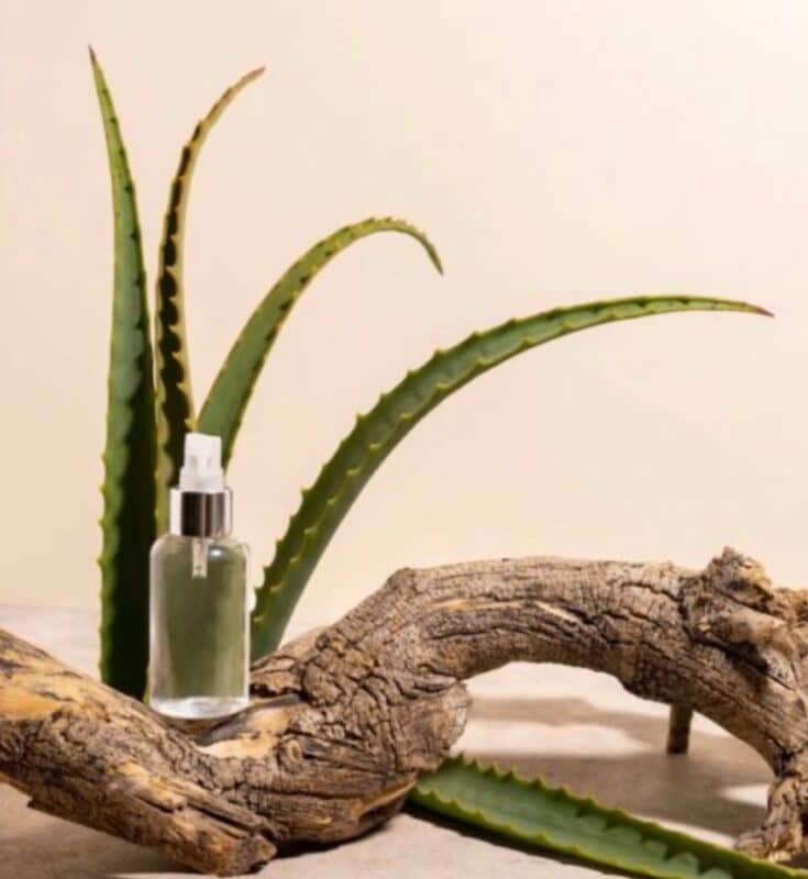 Aloe vera Toner