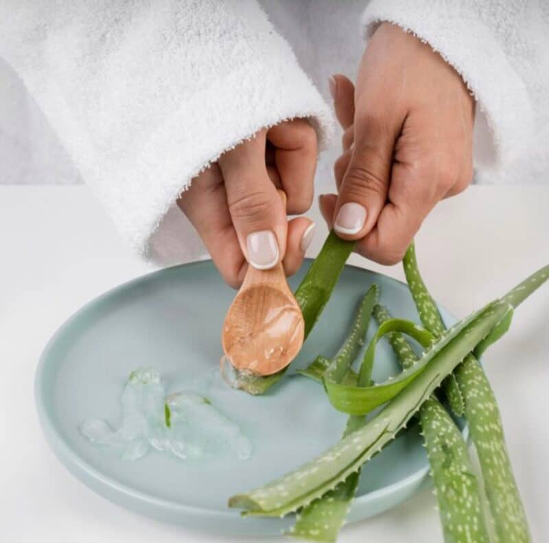 Fresh Aloe vera gel
