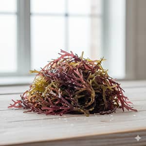 Ogonori Seaweed