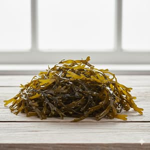 Rockweed Seaweed