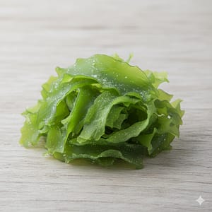 Sea Lettuce