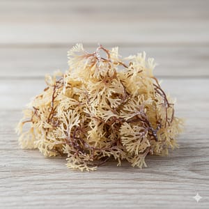Irish Moss