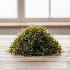 Mozuku Seaweed