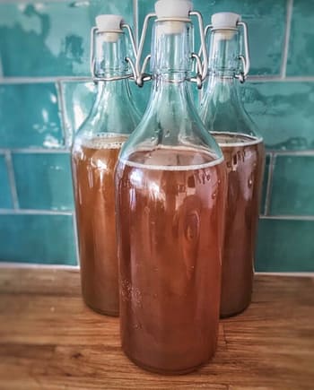 Homemade Fermented Beverages with Natural Ingredients