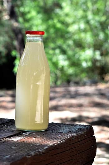 Homemade Fermented drink with natural ingredients