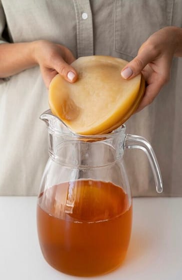 Kombucha scoby