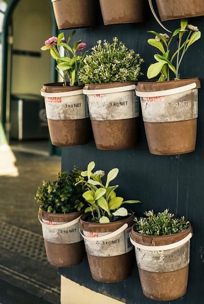 Container gardening