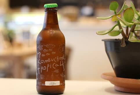 Fermented beverage