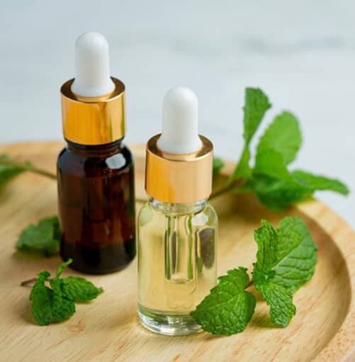 Mint oil
