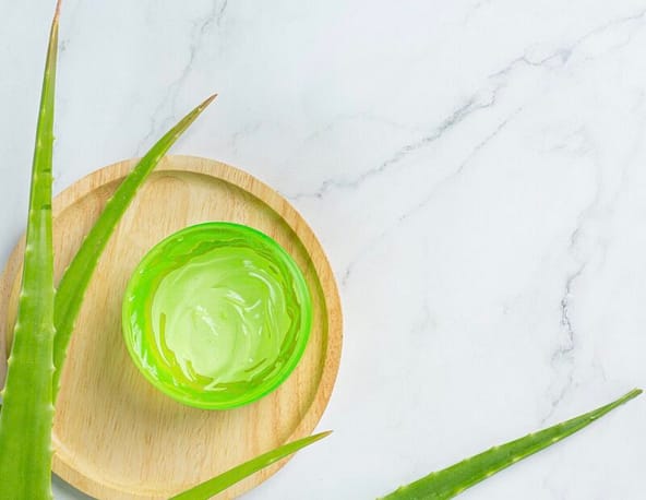 Aloe vera moisturizer