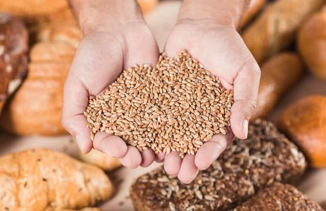Wheat grains
