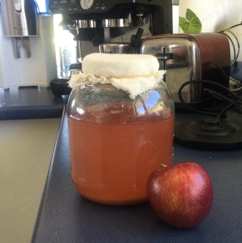 Unlocking Health Claims of Apple Cider Vinegar