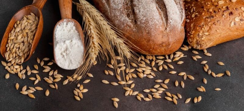 Whole Wheat Wonders