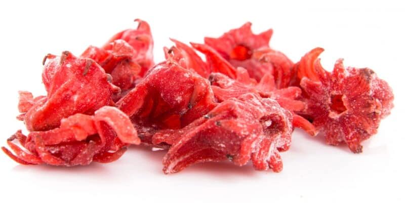 Elevating Beauty and Wellness with Hibiscus Tea