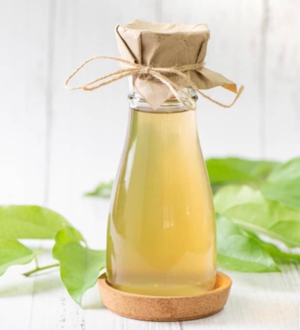 Kombucha