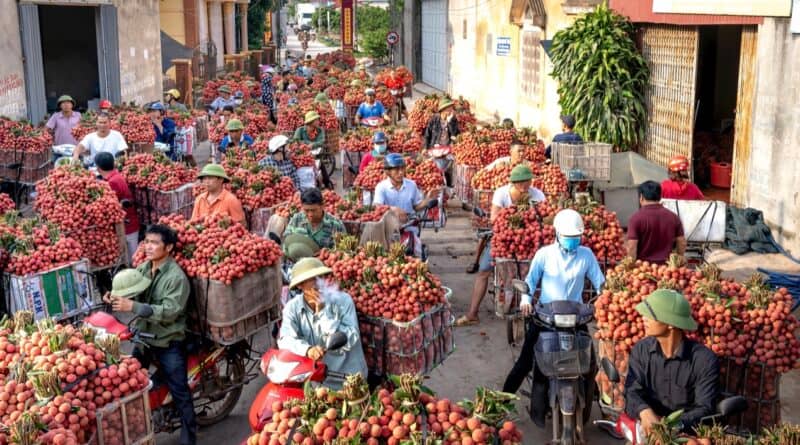 Farmer’s Market