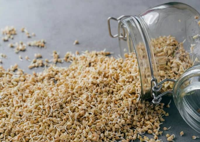 Sprouted grains pour out from a jar